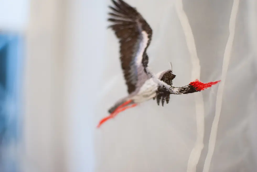 Kardash_ss2016_aist7